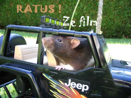 Ratus arrive en force, mieux que la coccinnelle